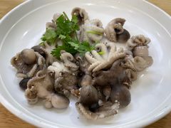 清蒸八爪鱼-渔家乐小海鲜(皇姑店)