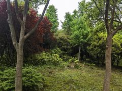 -宝界山林公园