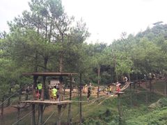 -梦幻奥陶纪景区