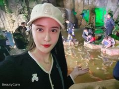 -泉城欧乐堡海洋极地世界