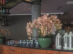 -八府香鸭·啫啫煲(华山路店)