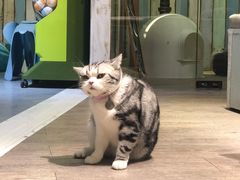 -小时光咖啡馆(开森度假森林店)