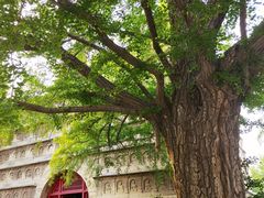 -北京石刻艺术博物馆(五塔寺)