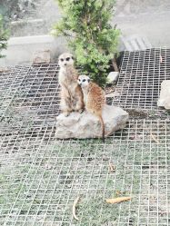 -三分地生态园·儿童乐园