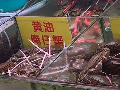 -珠光市场(文德南路)