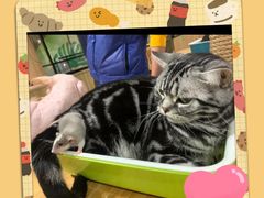-藦茜花园宠物主题亲子互动体验馆(国顺东路店)