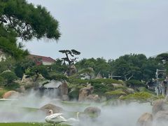 -罗红摄影艺术馆