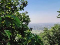 -杭州半山国家森林公园