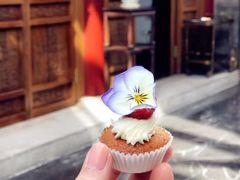 -北京古城老院厉晓麟精致菜