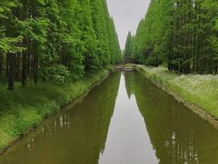 -黄海国家森林公园