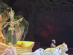 -广州长隆国际大马戏