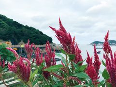 景点-乌石塘景区