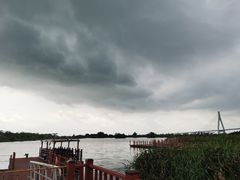 -芒洲湿地公园