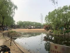 -尚庄度假村·庭台树下·户外烧烤·团建CS·轰趴营地(上庄水库店)
