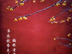 -钱王祠