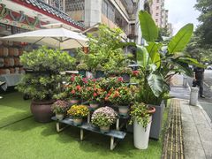 -山水茶艺馆·点心粤菜·30年老字号