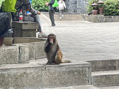 -业华湘·特色菜