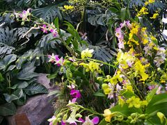 -北京植物园-展览温室