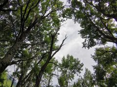 -康定跑马山风景区