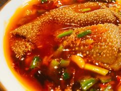 -小志家.鲜牦牛肉牛杂火锅野生菌汤锅