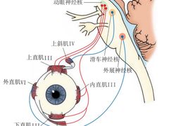 -黑马眼科·近视手术