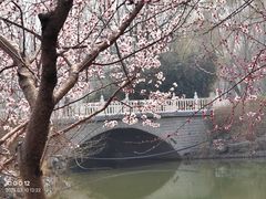 -河北省园博园
