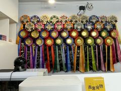 -青奢宠物·青奢猫舍