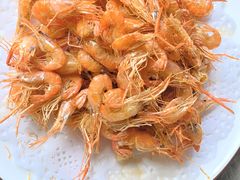 -崂山水果园农家宴(泉水鸡店)