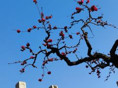 -海棠花溪(元大都城垣遗址公园)