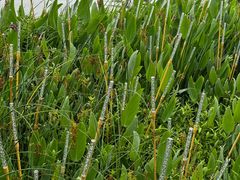 -东钱湖小普陀景区