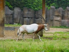 -杭州野生动物世界