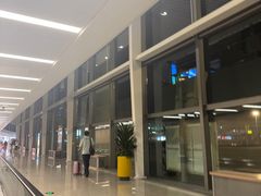 -青岛胶东国际机场