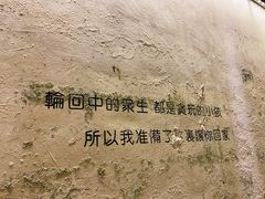 -猫的天空之城概念书店(三坊七巷店)