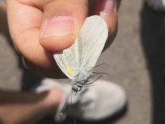 -北京山里寒舍度假酒店