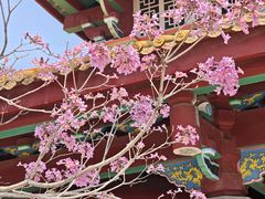 -天竺岩寺