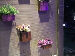 -月亮眼花园餐厅书吧酒吧