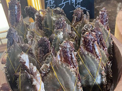 -天津滨海圣光皇冠假日酒店