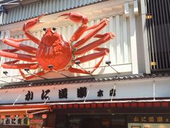 -蟹道乐(道顿堀本店)