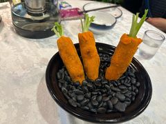 -丁老爷子苏香圆