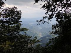 -天目山大树王景区