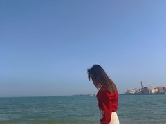 -汕尾风车岛