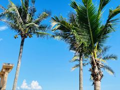 -玫瑰海岸文化旅游度假区