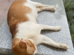 -晓港公园