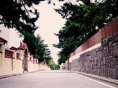 -八大关景区