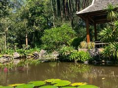 -中国科学院西双版纳热带植物园