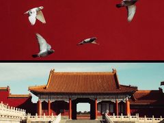 -故宫博物院(故宫)