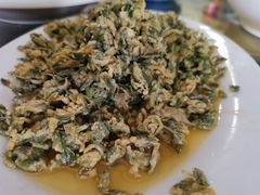 槐花炒鸡蛋-长安上水缘度假庄园