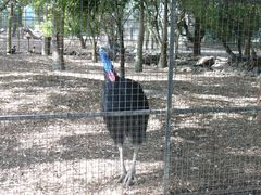 -费瑟代尔野生动物园