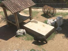 -石家庄市动物园