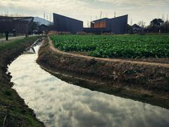 -田园东方蜜桃村的田野营地